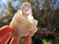 Natural Mix of Retail Items x 16 From Namibia