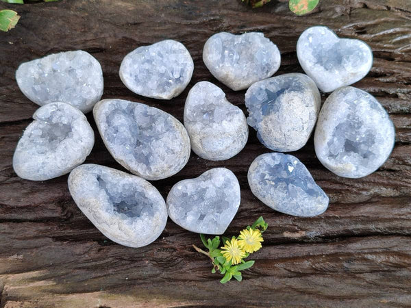 Polished Celestite Items x 12 From Sakoany, Madagascar