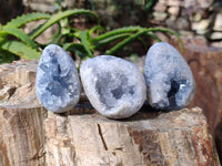 Polished Celestite Items x 12 From Sakoany, Madagascar