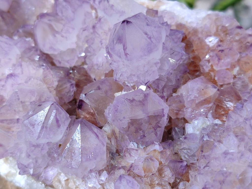 Natural Amethyst Spirit Quartz Clusters x 2 From Boekenhouthoek, South Africa - Toprock Gemstones and Minerals 