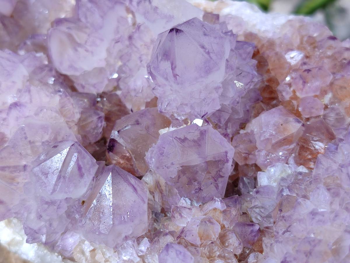 Natural Amethyst Spirit Quartz Clusters x 2 From Boekenhouthoek, South Africa - Toprock Gemstones and Minerals 