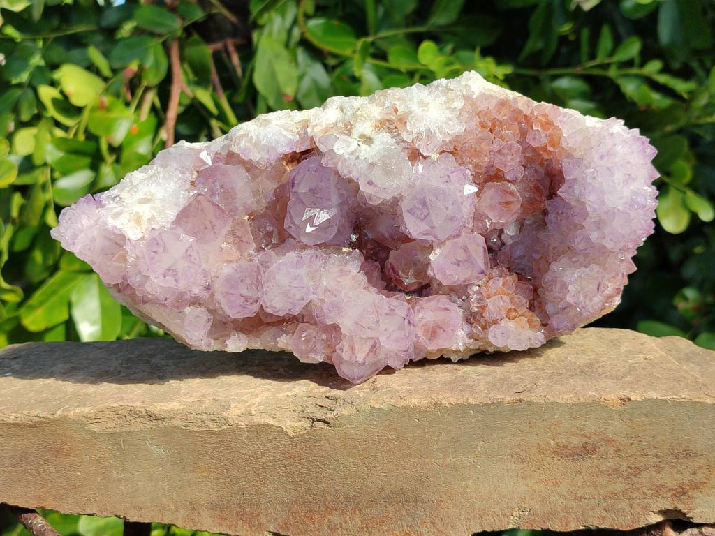 Natural Amethyst Spirit Quartz Clusters x 2 From Boekenhouthoek, South Africa - Toprock Gemstones and Minerals 