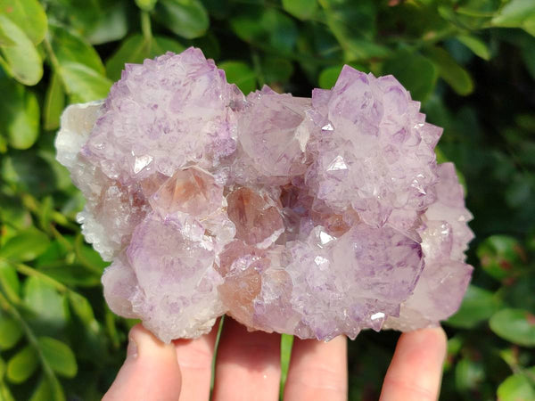 Natural Amethyst Spirit Quartz Clusters x 2 From Boekenhouthoek, South Africa