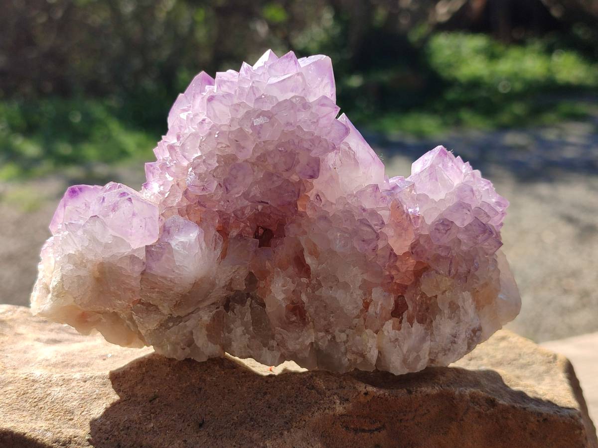 Natural Amethyst Spirit Quartz Clusters x 2 From Boekenhouthoek, South Africa - Toprock Gemstones and Minerals 