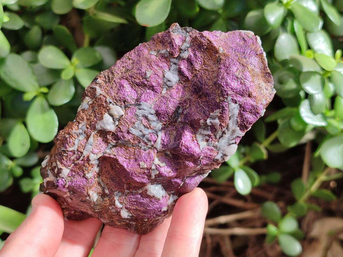 Natural Metallic Purpurite Cobbed Specimens x 4 From Erongo, Namibia - Toprock Gemstones and Minerals 
