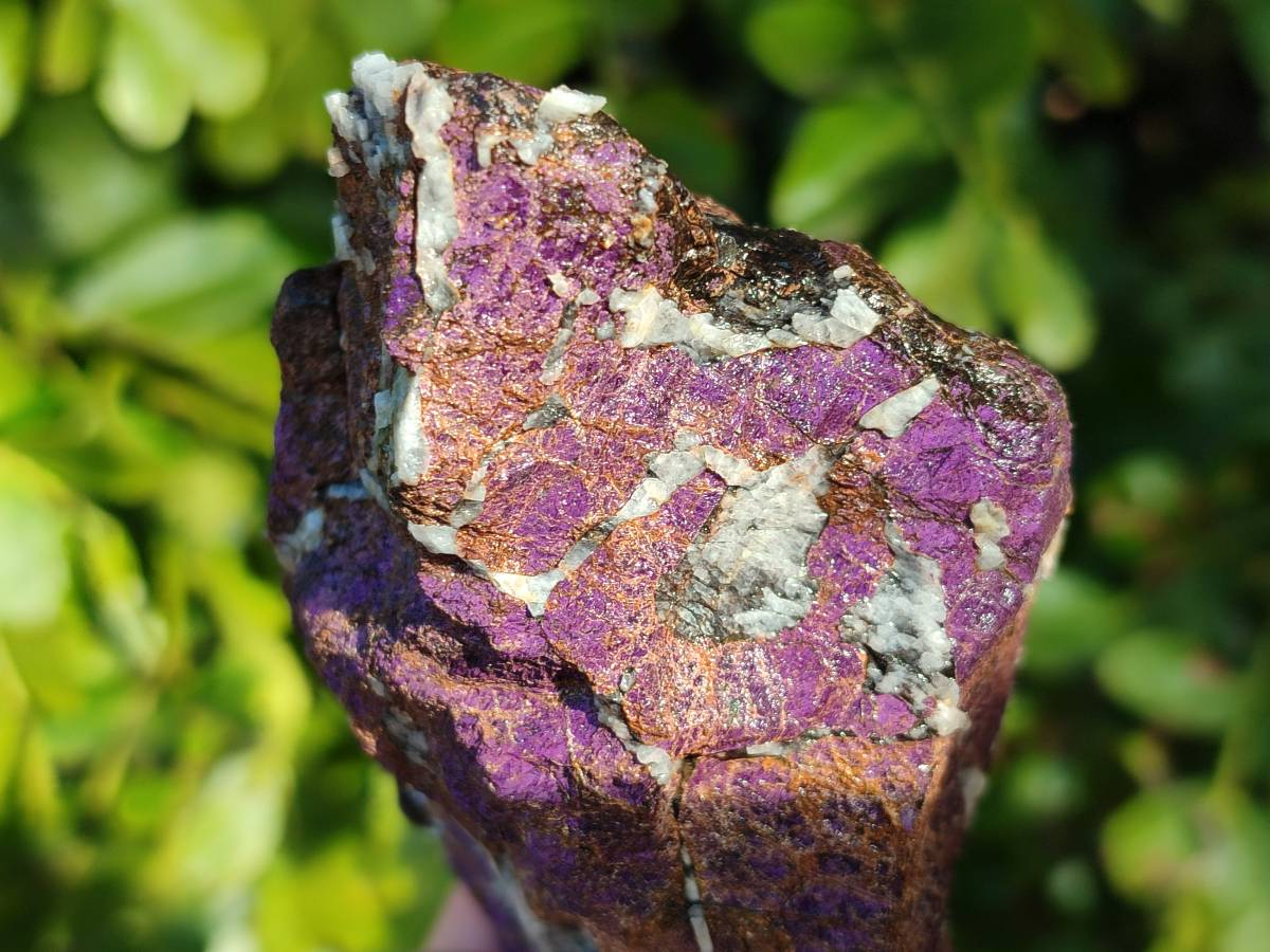 Natural Metallic Purpurite Cobbed Specimens x 4 From Erongo, Namibia - Toprock Gemstones and Minerals 