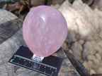 Polished Rose Quartz Standing Free Forms x 2 Madagascar - Toprock Gemstones and Minerals 