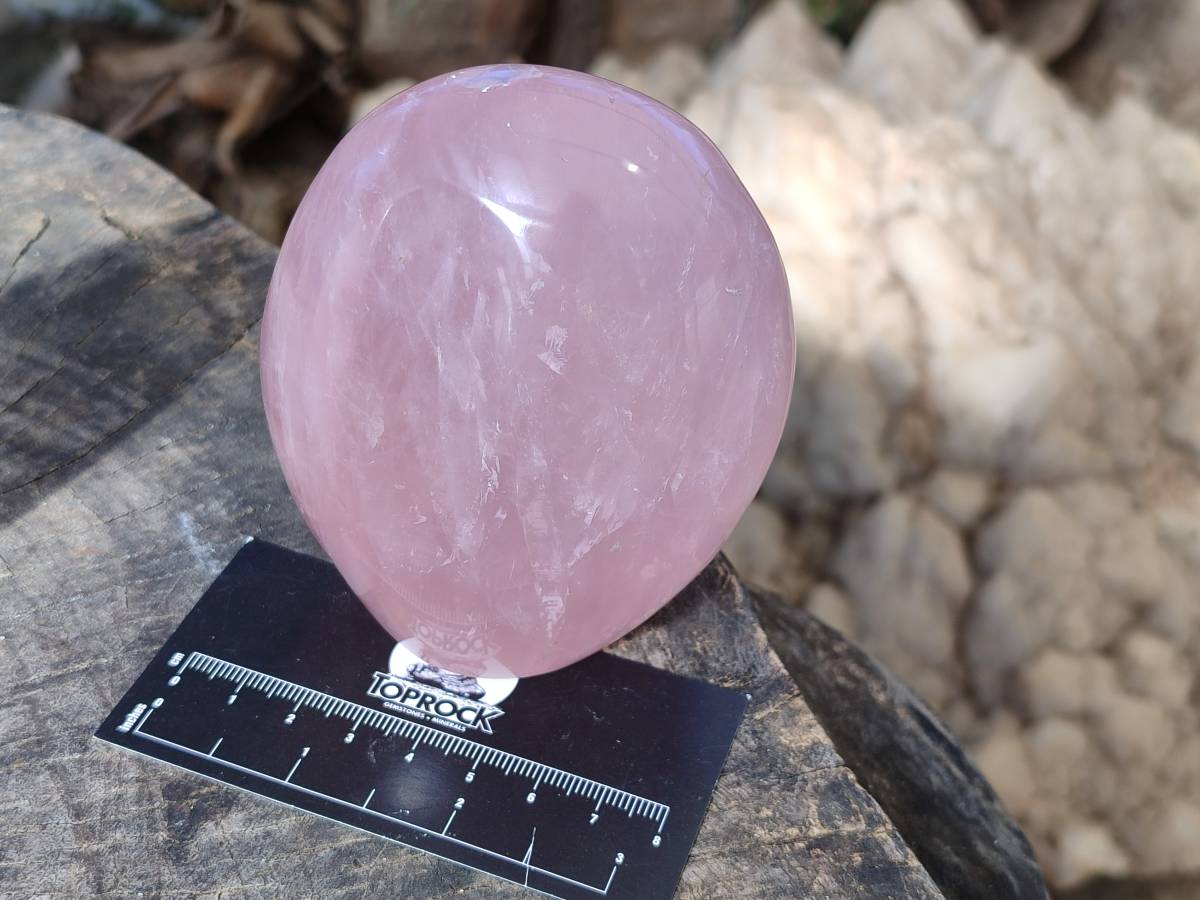 Polished Rose Quartz Standing Free Forms x 2 Madagascar - Toprock Gemstones and Minerals 