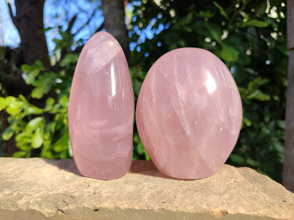 Polished Rose Quartz Standing Free Forms x 2 Madagascar - Toprock Gemstones and Minerals 