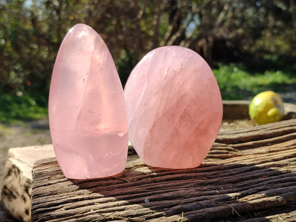 Polished Rose Quartz Standing Free Forms x 2 Madagascar - Toprock Gemstones and Minerals 