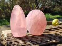 Polished Rose Quartz Standing Free Forms x 2 Madagascar