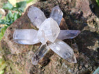 Natural Smokey Amethyst Quartz Crystals x 70 From Brandberg, Namibia - Toprock Gemstones and Minerals 