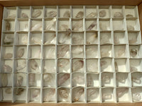 Natural Smokey Amethyst Quartz Crystals x 70 From Brandberg, Namibia