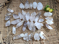 Natural Smokey Amethyst Quartz Crystals x 70 From Brandberg, Namibia