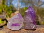 Polished Window Amethyst Crystals x 12 From Madagascar - Toprock Gemstones and Minerals 