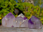 Polished Window Amethyst Crystals x 12 From Madagascar - Toprock Gemstones and Minerals 