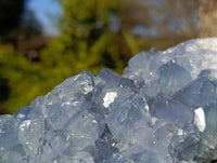 Natural Celestite Specimen x 1 From Sakoany, Madagascar