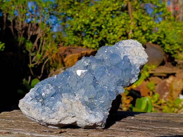 Natural Celestite Specimen x 1 From Sakoany, Madagascar