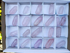 Polished Rose Quartz Bullets x 21 From Madagascar - Toprock Gemstones and Minerals 