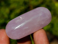 Polished Rose Quartz Bullets x 21 From Madagascar - Toprock Gemstones and Minerals 