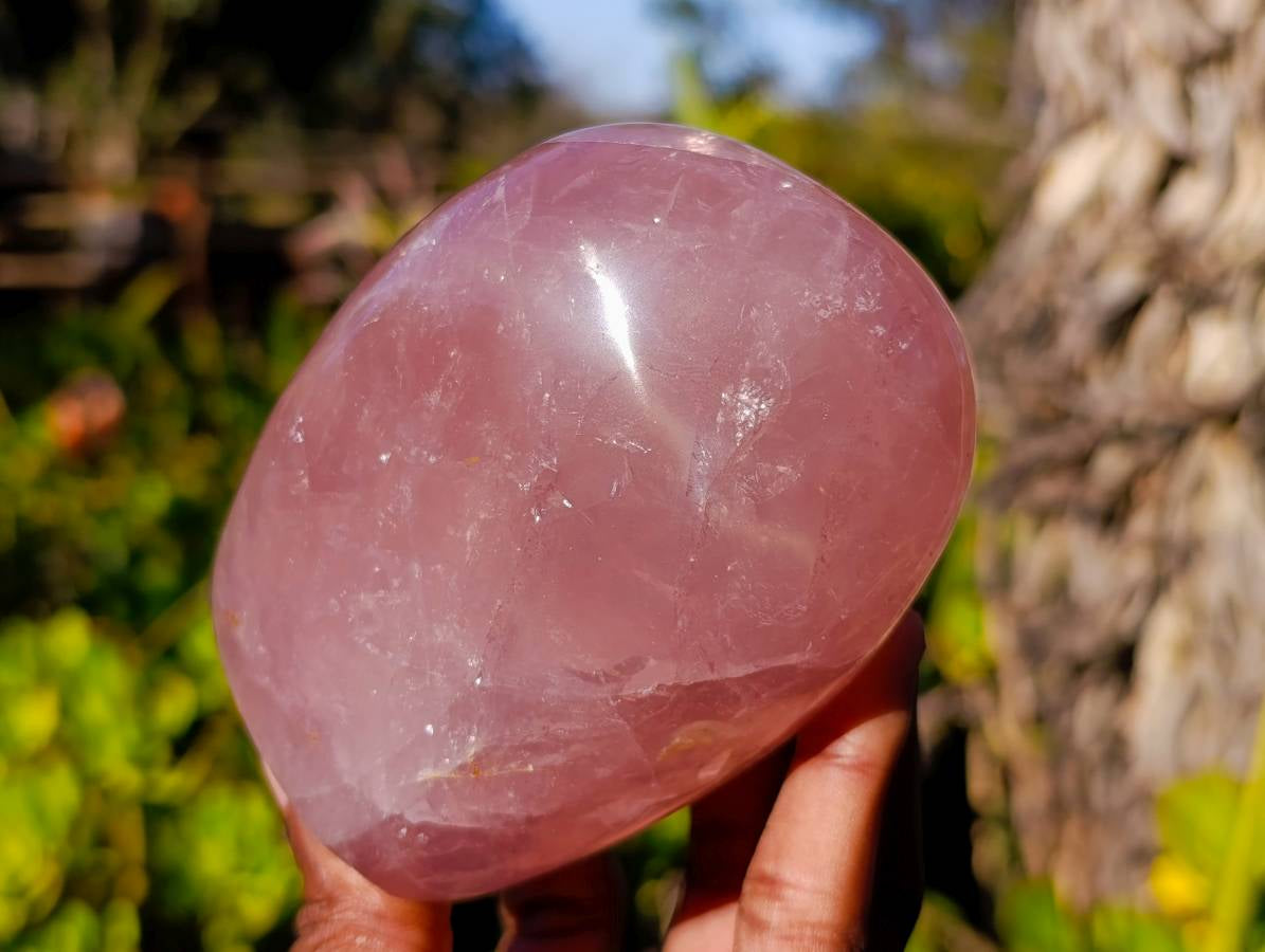 Polished Rose Quartz Standing Free Forms x 2 From Madagascar - Toprock Gemstones and Minerals 