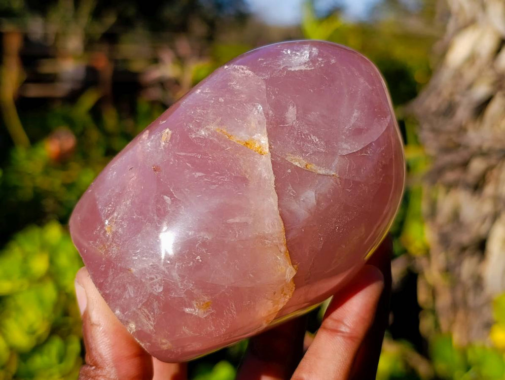 Polished Rose Quartz Standing Free Forms x 2 From Madagascar - Toprock Gemstones and Minerals 