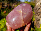 Polished Rose Quartz Standing Free Forms x 2 From Madagascar - Toprock Gemstones and Minerals 