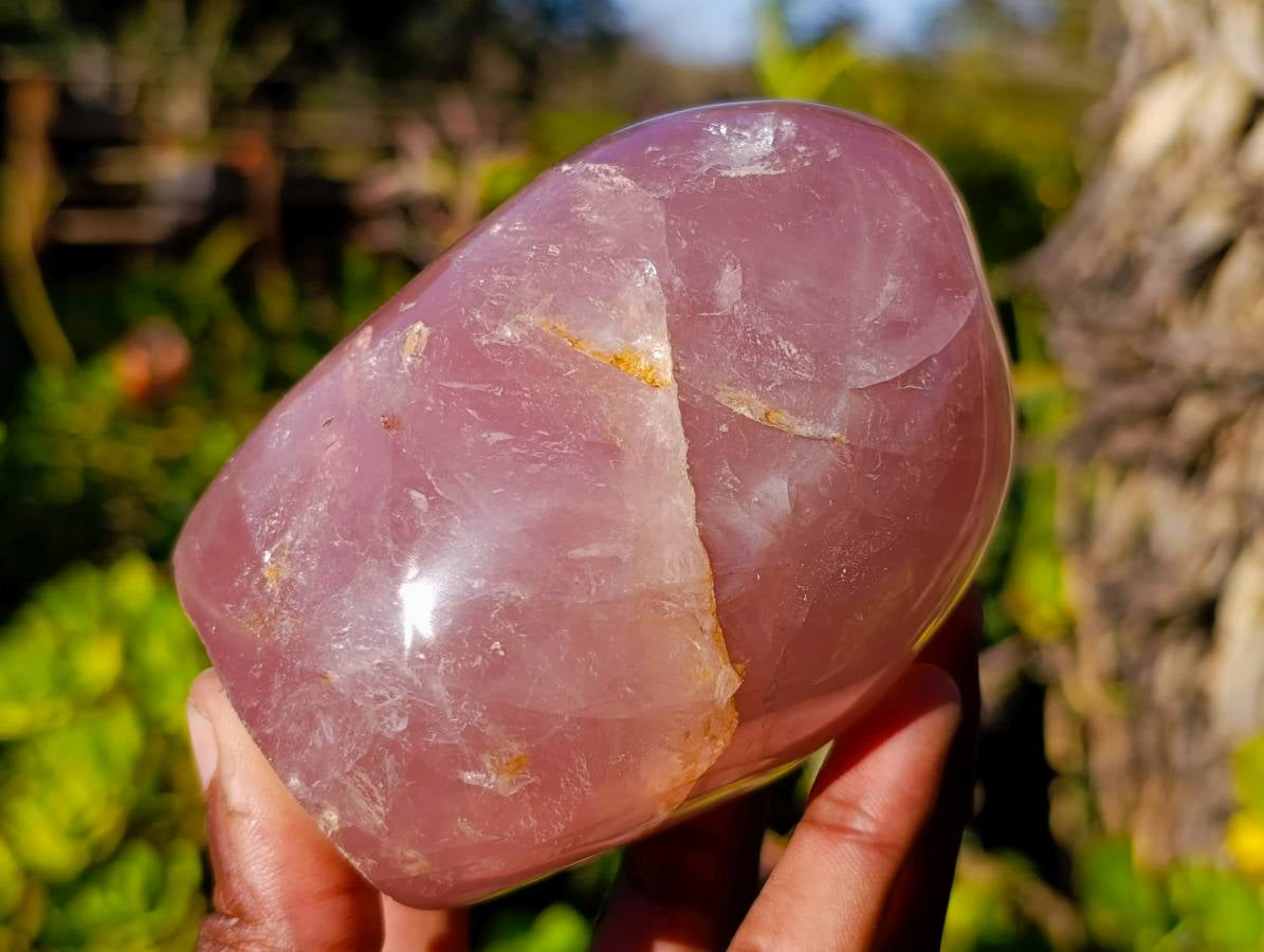 Polished Rose Quartz Standing Free Forms x 2 From Madagascar - Toprock Gemstones and Minerals 