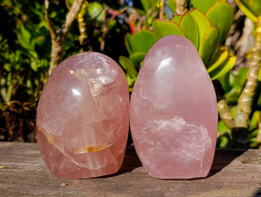 Polished Rose Quartz Standing Free Forms x 2 From Madagascar - Toprock Gemstones and Minerals 