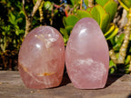 Polished Rose Quartz Standing Free Forms x 2 From Madagascar - Toprock Gemstones and Minerals 