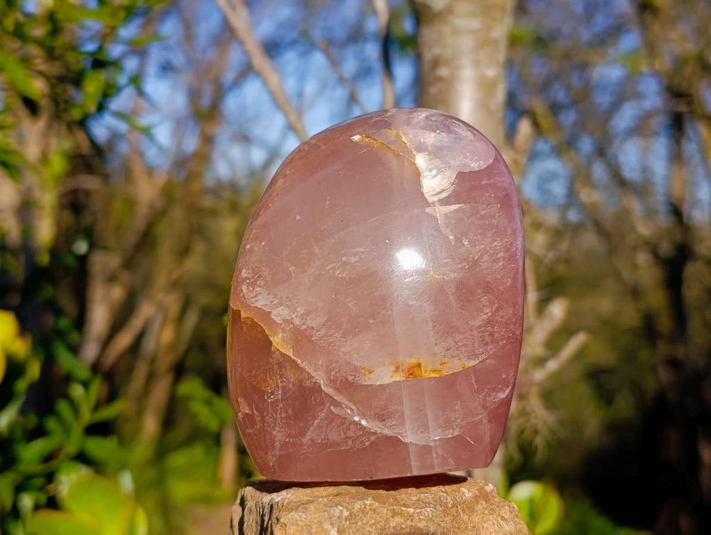 Polished Rose Quartz Standing Free Forms x 2 From Madagascar - Toprock Gemstones and Minerals 