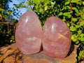 Polished Rose Quartz Standing Free Forms x 2 From Madagascar - Toprock Gemstones and Minerals 