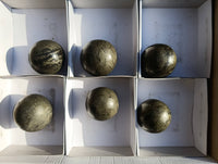 Polished Pharaoh Stone Spheres x 6 From Zimbabwe