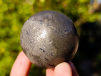 Polished Pharaoh Stone Spheres x 6 From Zimbabwe