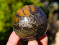 Polished Pharaoh Stone Spheres x 6 From Zimbabwe