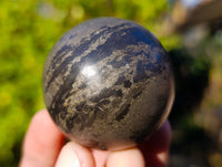 Polished Pharaoh Stone Spheres x 6 From Zimbabwe