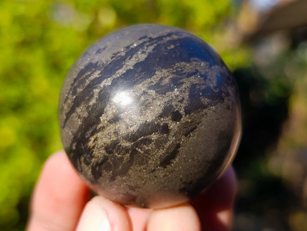 Polished Pharaoh Stone Spheres x 6 From Zimbabwe