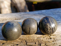 Polished Pharaoh Stone Spheres x 6 From Zimbabwe