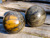 Polished Pharaoh Stone Spheres x 6 From Zimbabwe