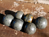 Polished Pharaoh Stone Spheres x 6 From Zimbabwe