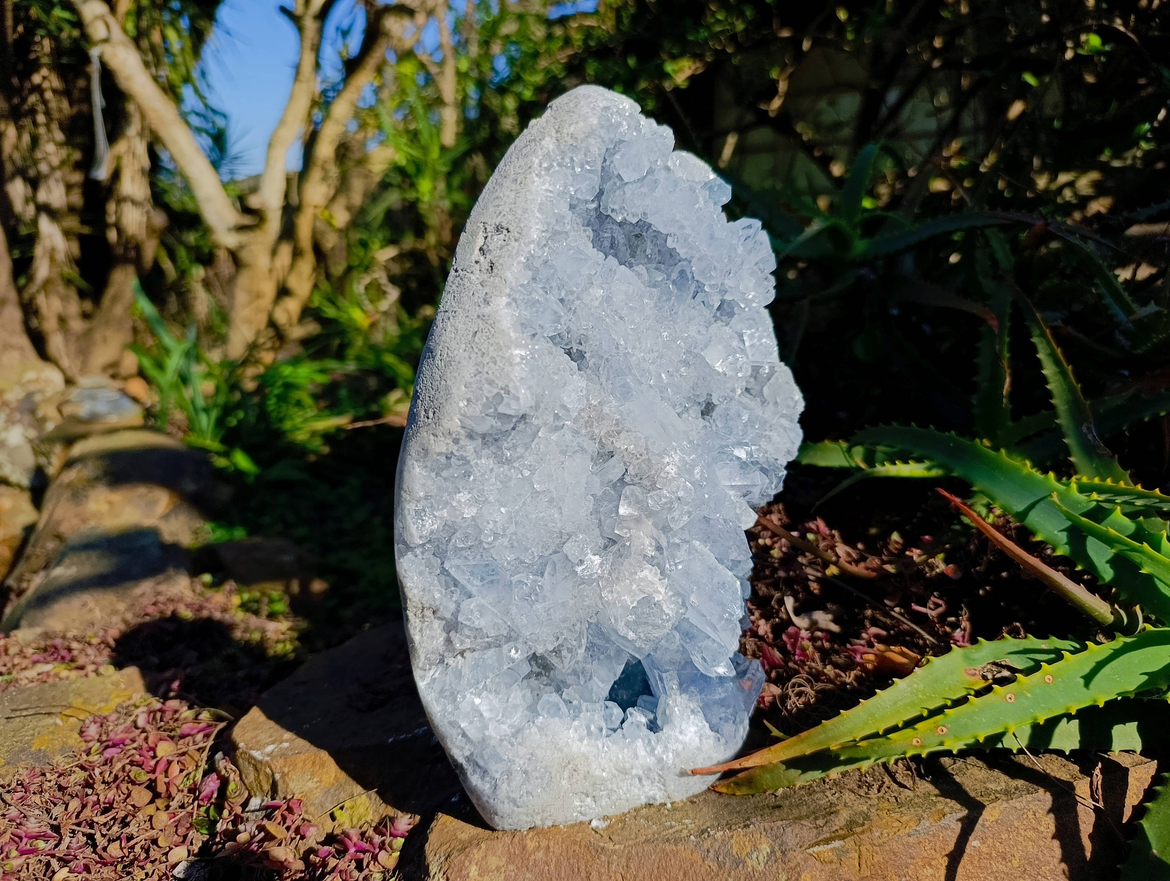 Natural Celestite Standing Free Form x 1 From Sakoany, Madagascar - Toprock Gemstones and Minerals 