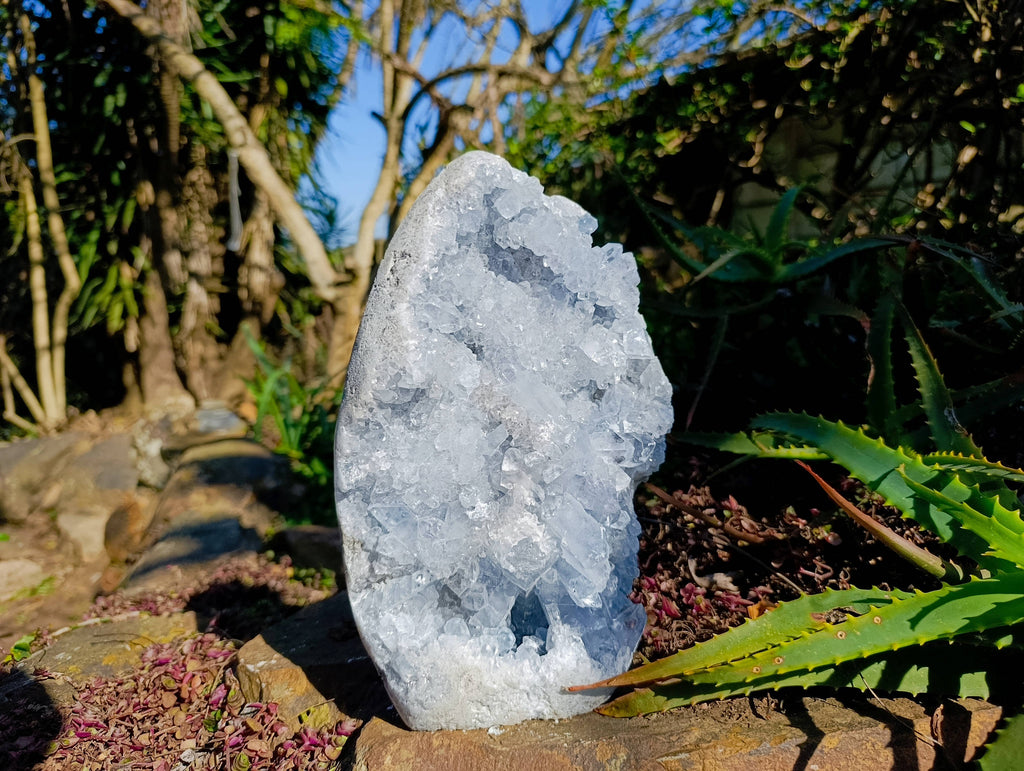 Natural Celestite Standing Free Form x 1 From Sakoany, Madagascar - Toprock Gemstones and Minerals 