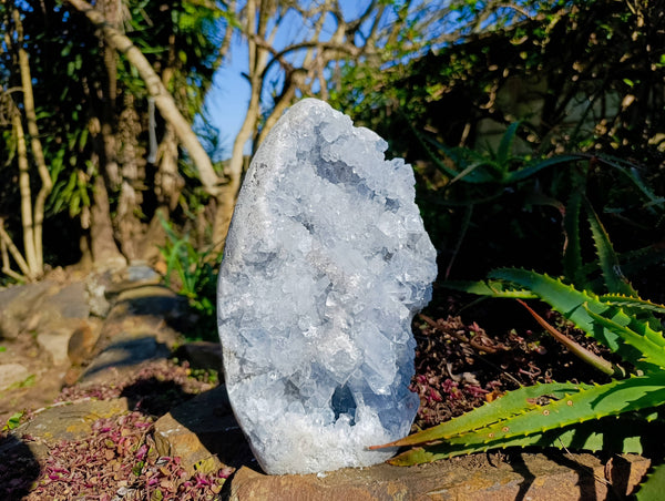 Natural Celestite Standing Free Form x 1 From Sakoany, Madagascar