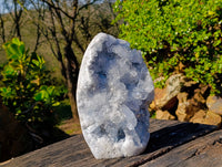 Natural Celestite Standing Free Form x 1 From Sakoany, Madagascar