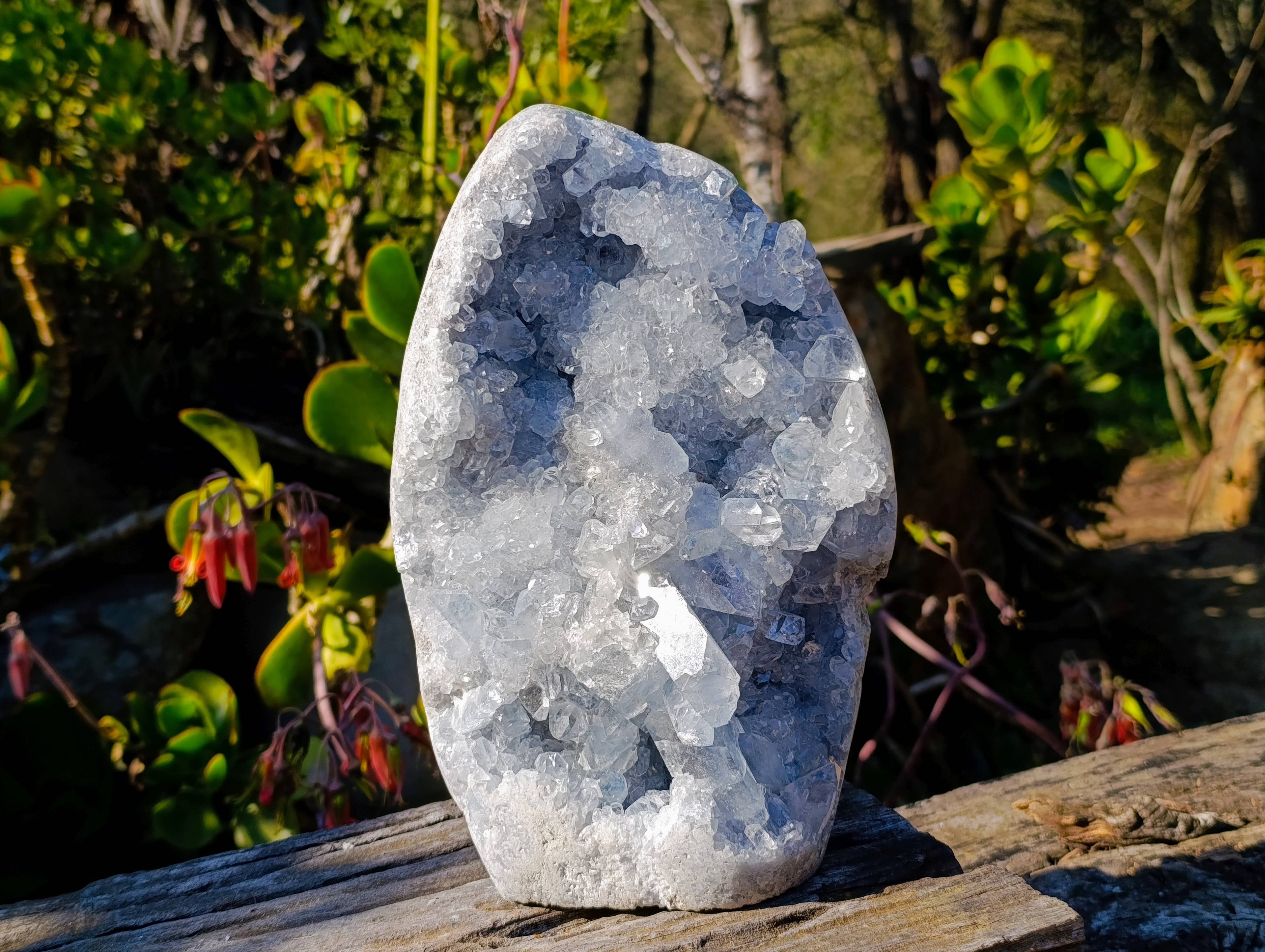 Natural Celestite Standing Free Form x 1 From Sakoany, Madagascar - Toprock Gemstones and Minerals 