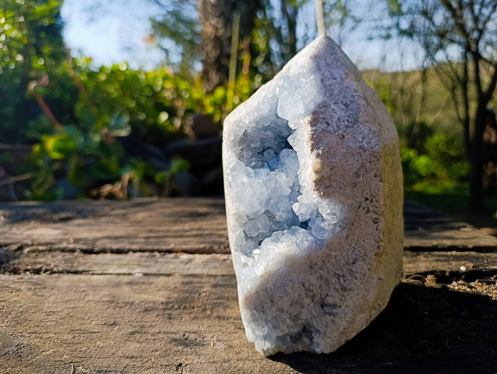 Polished Celestite Standing Free Form x 1 From Sakoany, Madagascar - Toprock Gemstones and Minerals 