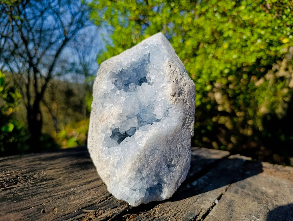 Polished Celestite Standing Free Form x 1 From Sakoany, Madagascar - Toprock Gemstones and Minerals 