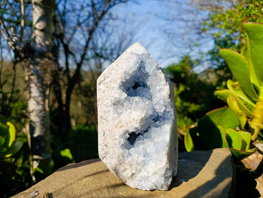Polished Celestite Standing Free Form x 1 From Sakoany, Madagascar - Toprock Gemstones and Minerals 