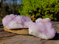 Natural Amethyst Spirit Quartz Clusters x 6 From Boekenhouthoek, South Africa