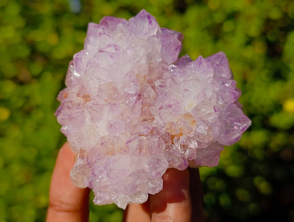 Natural Amethyst Spirit Quartz Clusters x 6 From Boekenhouthoek, South Africa